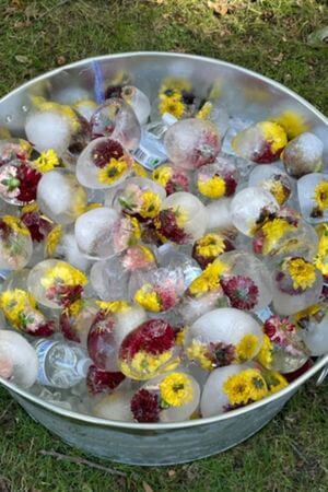 floral ice packs